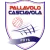 logo Bellaria Volley Verde