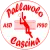 logo Pallavolo Delfino Pescia